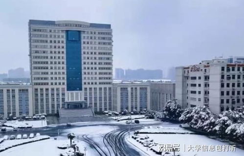 武漢輕工大學王牌專業有哪些 這個就很好