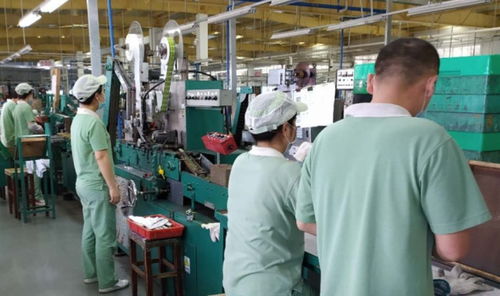 廣州輕工集團(tuán) 以創(chuàng)新驅(qū)動(dòng)高質(zhì)量發(fā)展，譜寫輕工業(yè)新篇章