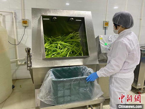 河北淶水土貨“統(tǒng)購統(tǒng)銷”進京生金，清潔服務(wù)煥新鄉(xiāng)村經(jīng)濟